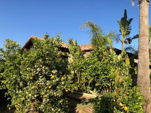 Chalet Con Piscina El Oasis Del Palomar