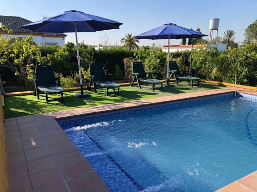 Chalet Con Piscina El Oasis Del Palomar