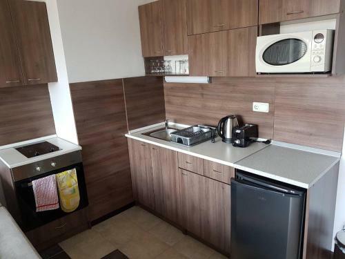 Royal Bansko Aparthotel 206d