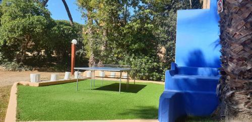 Apartamento Con Jard�n A 11 Metros de La Playa. Se.