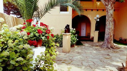 Apartamento Con Jard�n A 11 Metros de La Playa. B1.