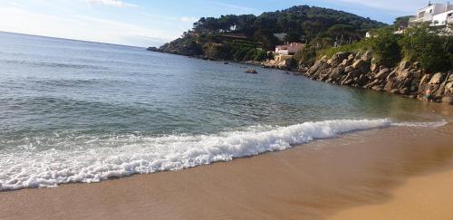 Apartamento Con Jard�n A 11 Metros de La Playa. B1.
