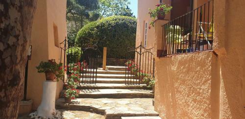 Apartamento Con Jard�n A 11 Metros de La Playa. B1.