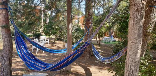 Apartamento Con Jard�n A 11 Metros de La Playa. B1.
