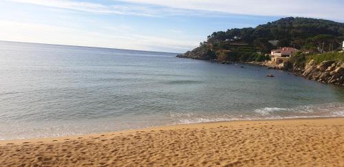 Apartamento Con Jard�n A 11 Metros de La Playa. B1.