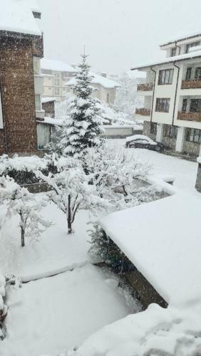 Top Modern Refurbished Apartment, Minutes From Gondola