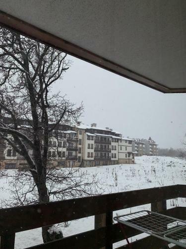 Belvedere Holidey Club Apartment