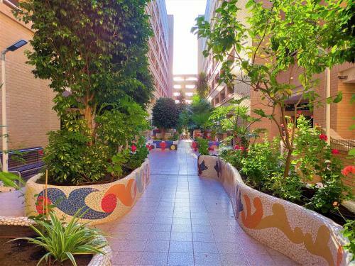 Apartamento Acv - Neptuno - 2 Linea Planta 4 Norte