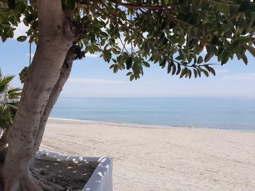 Apartamento Playa Torecilla Beachfront