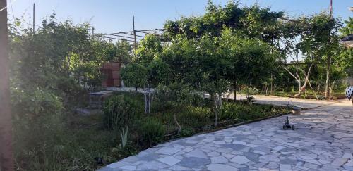 Agroturismo Antonio's Rooms (2 Single Beds)