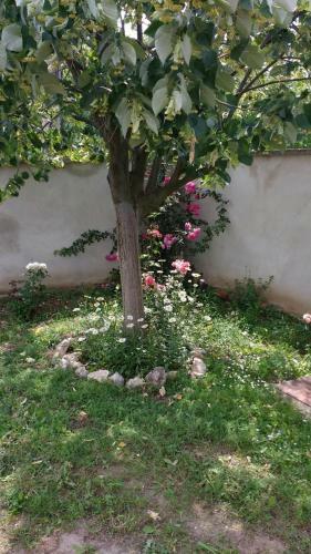 Bed & Breakfast Spacious House With Garden For A Quiet Getaway