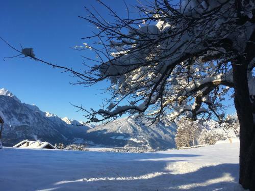 Hostal Fr�hst�ckspension Alpenrose