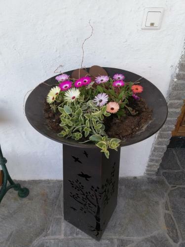 Hostal Fr�hst�ckspension Alpenrose