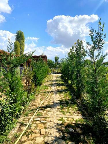 Agroturismo Blerina Farm House