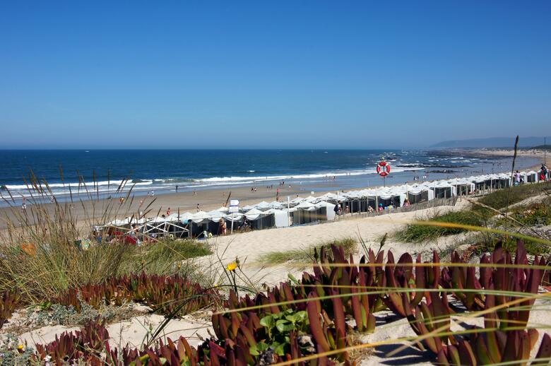 Hotel Suave Mar