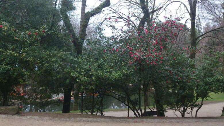 Hotel Do Parque