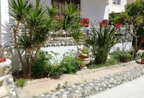 Apartamento Chicos Studios