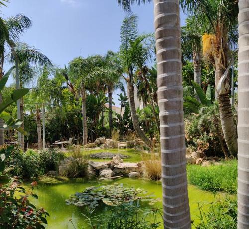Garden Luxury Apartment Ayia Napa