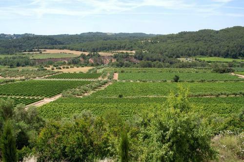 Agroturismo Maset De La Costa