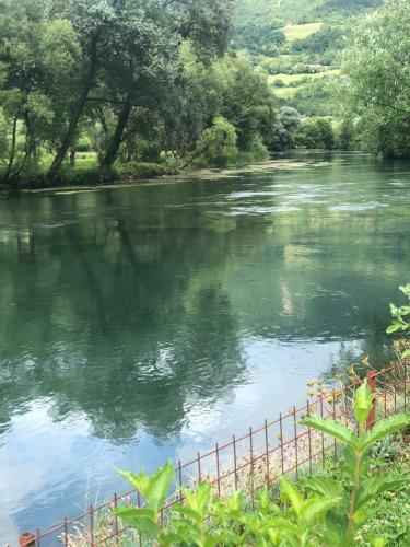 Pliva