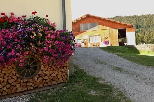 Apartamento Stapflhof