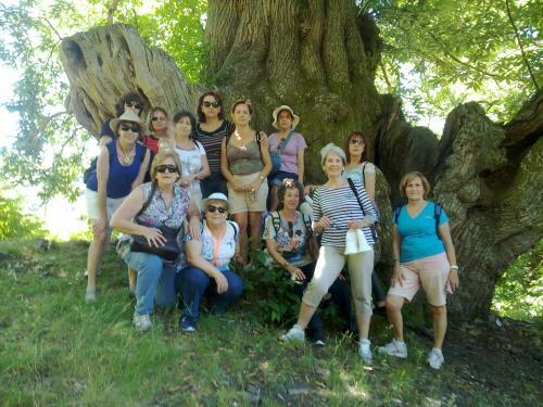 C R Altobierzo, 9 H Y 9 Ba�os
