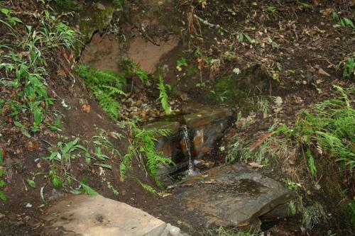 C R Altobierzo, 9 H Y 9 Ba�os