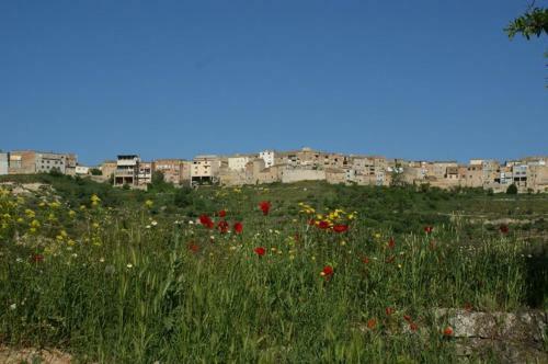 Agroturismo Los Trulls D�auligu�