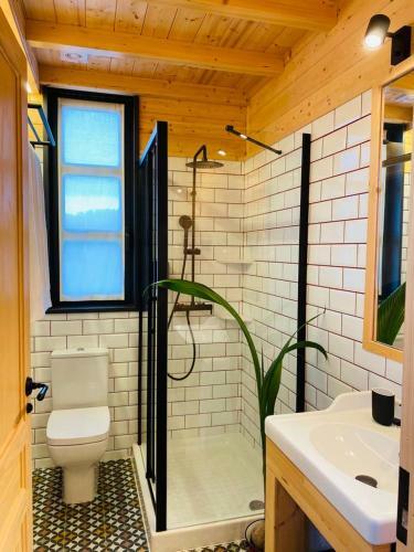 Apartamentos La Casina de Los M�sicos