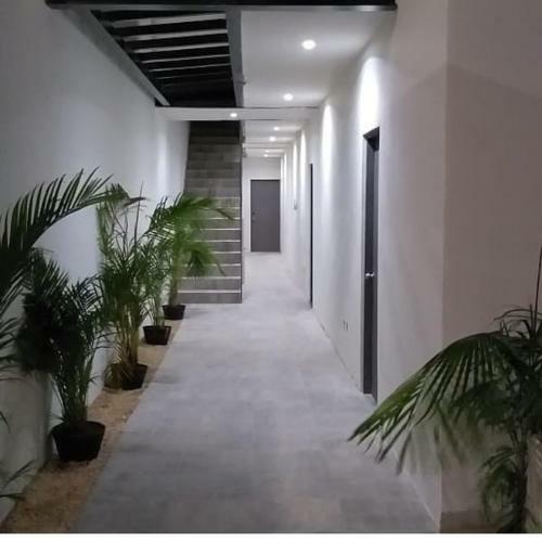Hotel Suites And Art