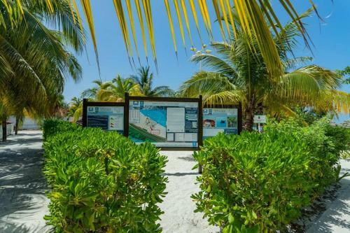 Apartamento Amara Cancun Beachfront Caribe R