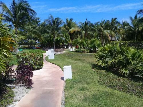Apartamento Swim The Caribbean & Work With A View