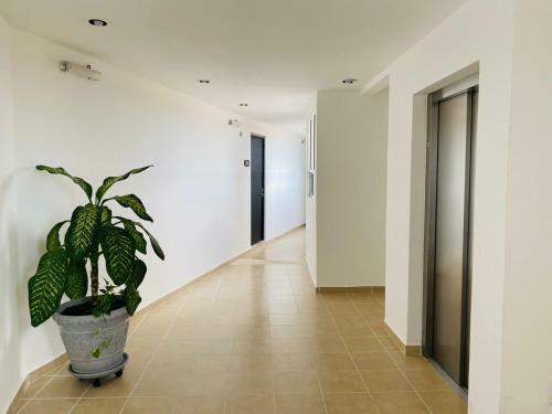 Apartamento Departmento Vacacional Dreams Lagoons
