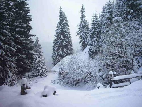Bischofh�tten