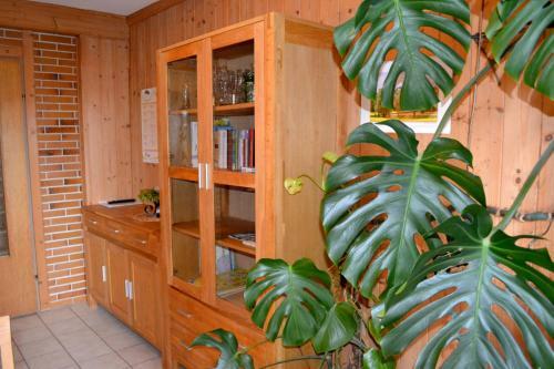 Hostal G�stehaus Pfisterer