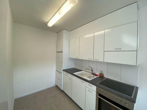 Luxury Apartment In Heart Of Basel
