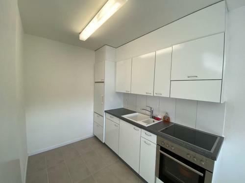 Luxury Apartment In Heart Of Basel