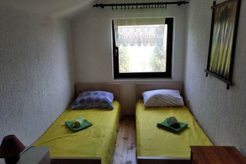 Pool & Sauna House