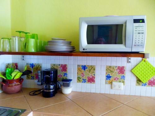 Hostal Casa De Celeste Vida