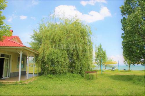Apartamento Milana - ???????? ? ??????, ????? ?? ???? ? ??????