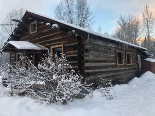 Mini-mooh Cabin