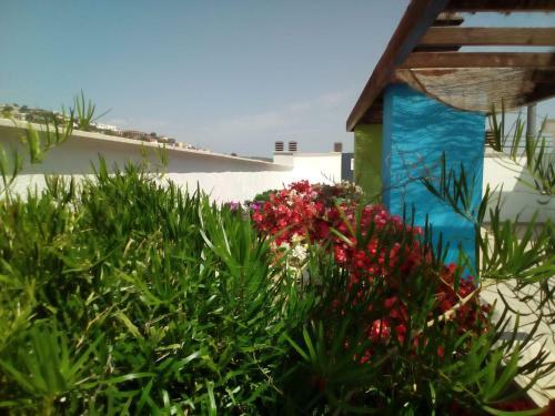 Apartamento Casa Polly