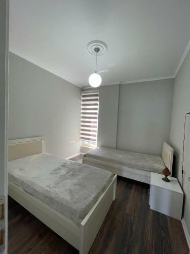 Kelvi?s Apartment