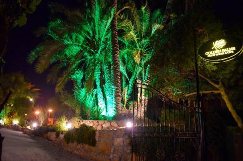 Hostal Golden Palms Guest House & Cafe