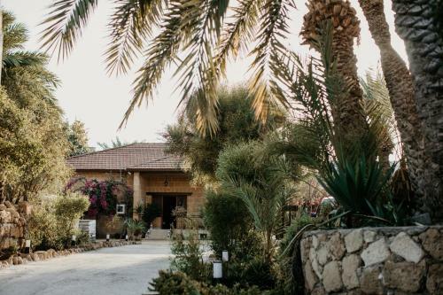 Hostal Golden Palms Guest House & Cafe