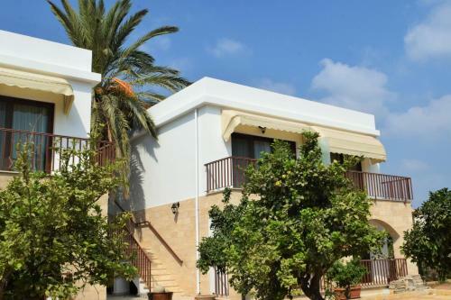 Hostal Golden Palms Guest House & Cafe