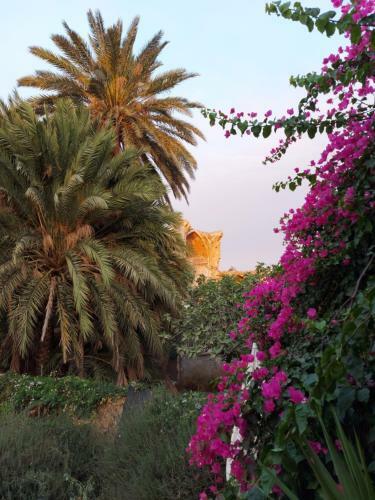 Hostal Golden Palms Guest House & Cafe