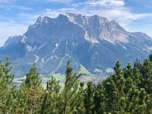 Apartamento Appartments Krone