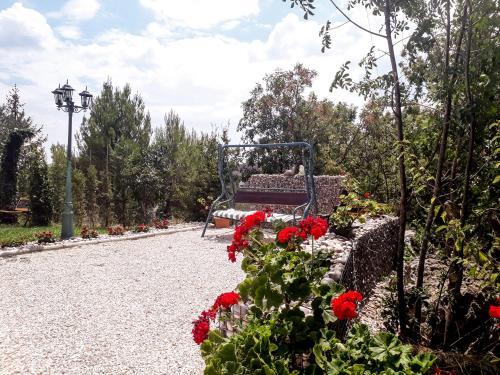Hostal Guesthouse Casa Bevanda