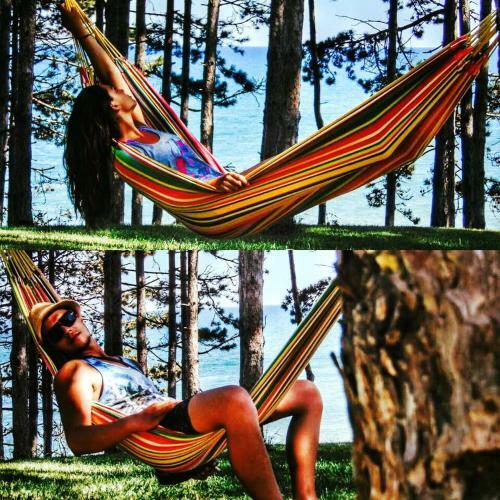 Dream View